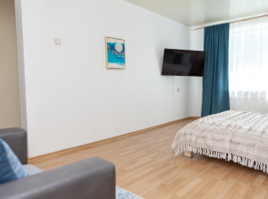 Апартаменты Уютная однокомнатная квартира в центре