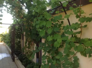 Гостевой Дом Violetta