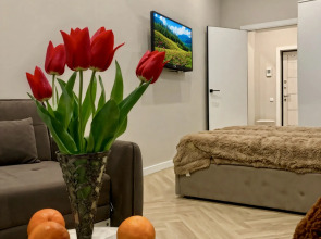 Квартира 300 метров Кисловодский парк