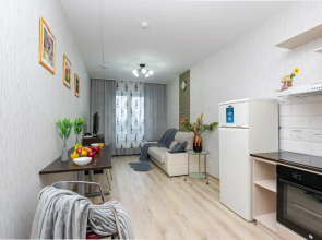 Апартаменты Cosmos Apart на Революции 48 В (1)