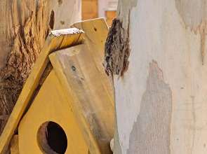 База отдыха Нарт отель