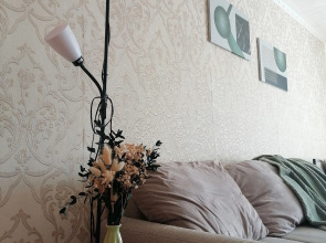 Квартира Просторная квартира в центре