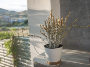 Гостевой Дом Долина Художника