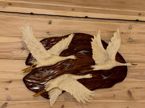 Частный дом Эко Терем