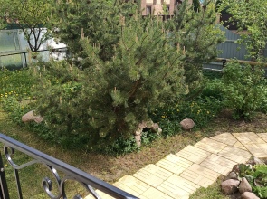 Гостевой дом Мариенбург Гатчина