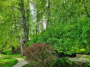 Гостевой Дом Каменный Цветок