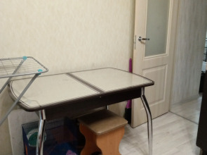 Квартира Санкт-Петербург Пушкин Экспофорум Пулковское Индивидуальная Квартира