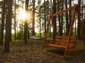 База отдыха Алсма