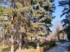 Квартира комфортная стильная возле парка