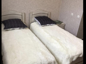 Гостевой дом Чехова 95