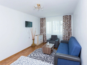 Апартаменты 1-ком. квартира на Емельянова 35А (3)