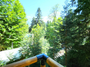 Отель Гoры Village