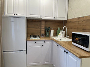 Квартира на Полежаева 163 (70)