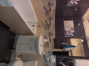 Апартаменты Однокомнатная квартира в центре Воронежа