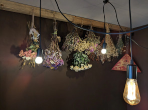 Квартира у Ленты