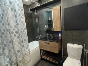 Апартаменты с дизайнерским ремонтом у парка