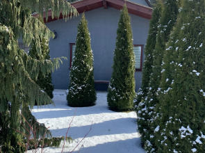 Гостевой дом и баня у Дмитрия