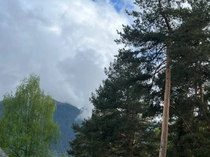 База отдыха Сосновка