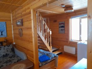 Частный дом Карелия