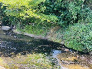 Апарт-отель Вилла Монте Гагра