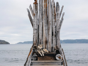 База отдыха Ковчег51