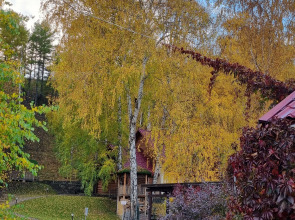 Гостевой Дом Каменный Цветок