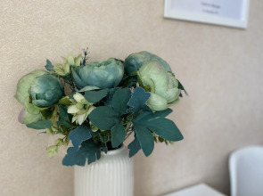 Квартира у Ледового дворца