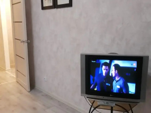 Апартаменты на Толстого 4