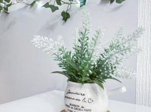 Квартира Nest Apartment