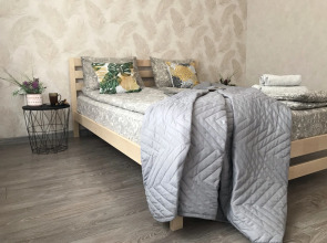 Апартаменты на Больничной