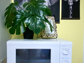 Апартаменты Африка на Школьной