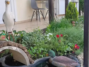 Гостевой дом Елена