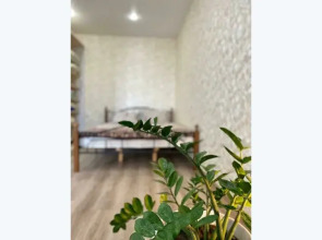 Апартаменты Мира Апарт-43