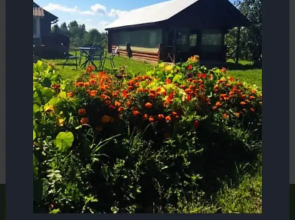 Гостевой дом Косохново