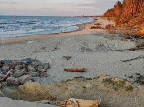 Гостевой дом Лайна