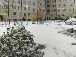 Аппартаменты Дvухкомнатные Золотая роза / Golden rose