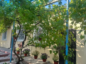 Гостевой дом Морская сказка