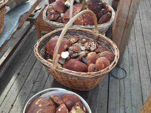 Гостевой Дом Тулокса