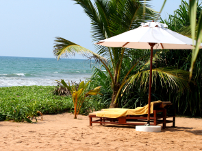 Отель Temple Tree Resort & Spa