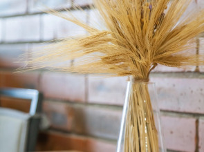 Отель ESENIN-LocuS