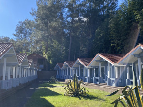 Гостевой дом Ласточка Роща