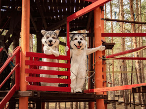 База отдыха Маламут Ленд