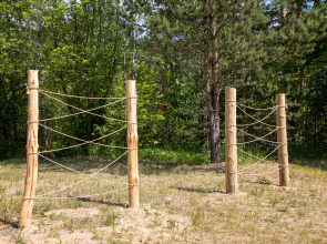 Отель Сосновый бор