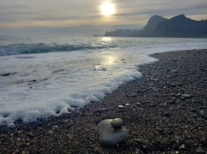 Жилое помещение Крымские каникулы