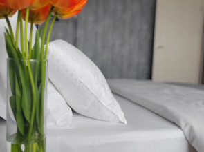 Апартаменты 2-х комнатные с видом на планету Земля