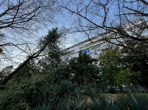 Апартаменты Светлана