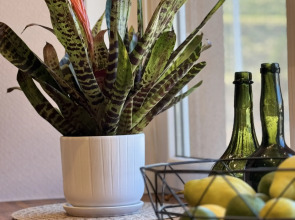 Апартаменты с Красивым Видом из Окна