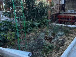 Гостевой дом Авокадо