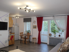 Апартаменты Студия