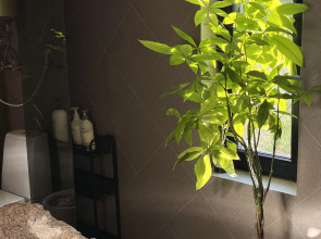 Бунгало Филиндорф